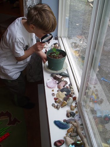 A Windowsill Converted into a Nature Table (Photo from the Montessori Child at Home)