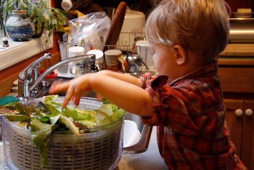 Washing salad greens for the family's dinner (Photo from The Montessori Child at Home)