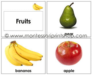 Fruit Cards (Image from Montessori Print Shop)