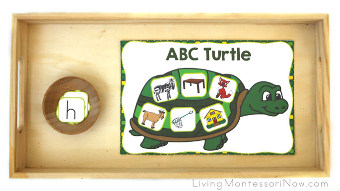 ABC Turtle - Beginning Letter Sounds