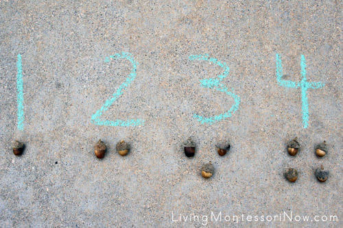 Acorn Outdoor Numbers and Counters for 1-10 Would Have Exactly 55 Acorns as a Control of Error