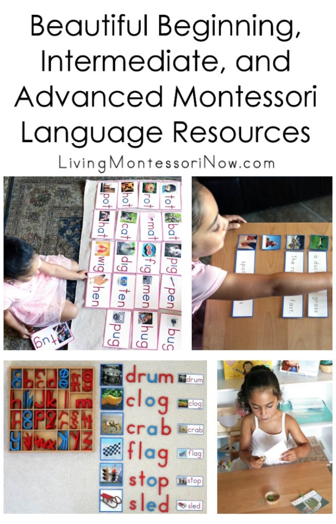 Beautiful Beginning, Intermediate, and Advanced Montessori Language Resources (Including Pink, Blue, and Green Series) in Manuscript or Cursive