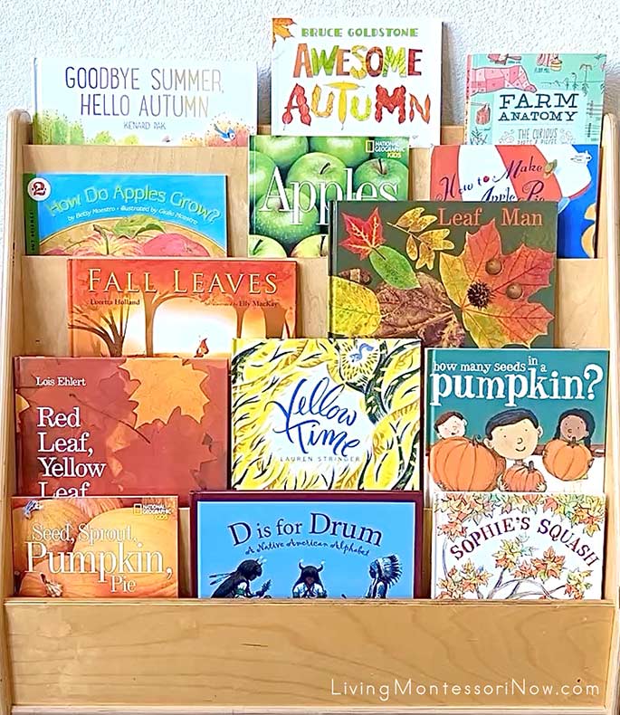 Books for a Fall Theme
