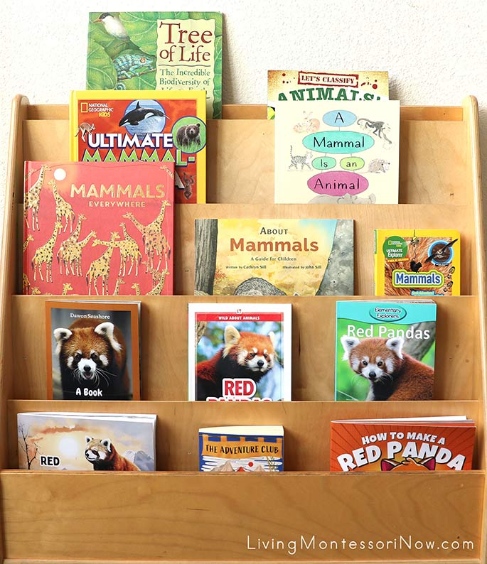 Books for a Red Panda Unit