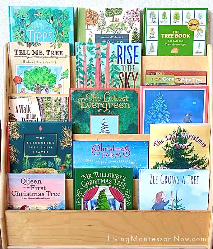 Books for an Evergreen Tree Theme