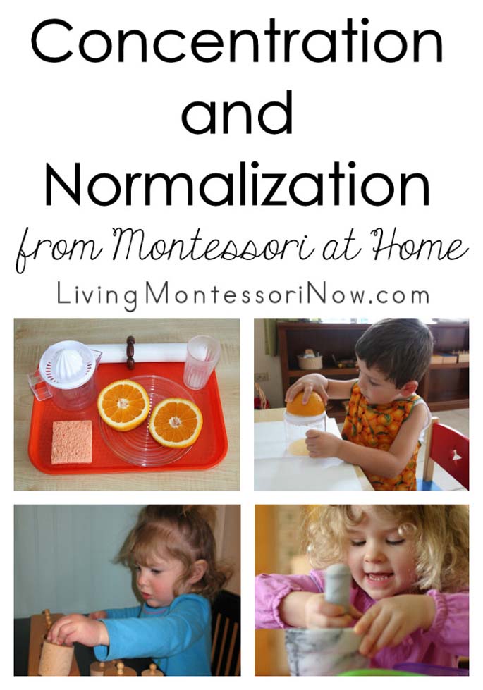 Concentration and Normalization from Montessori at Home