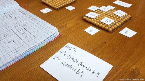 Concrete Algebra Work (Photo from Mi Escuelita Montessori)