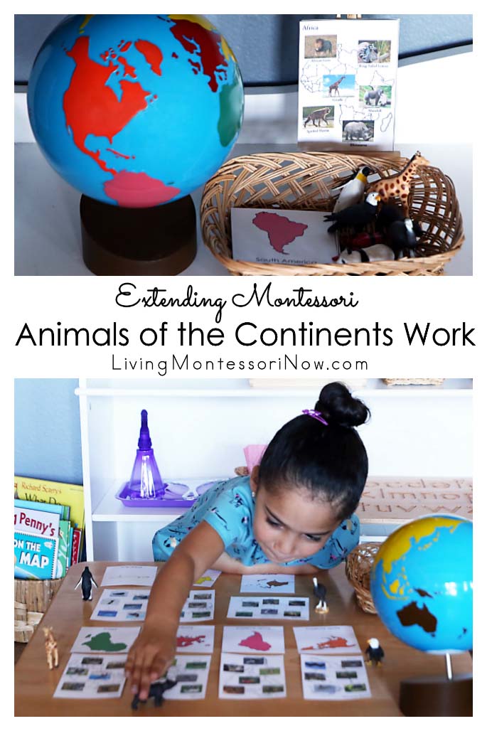Extending Montessori Animals of the Continents Work