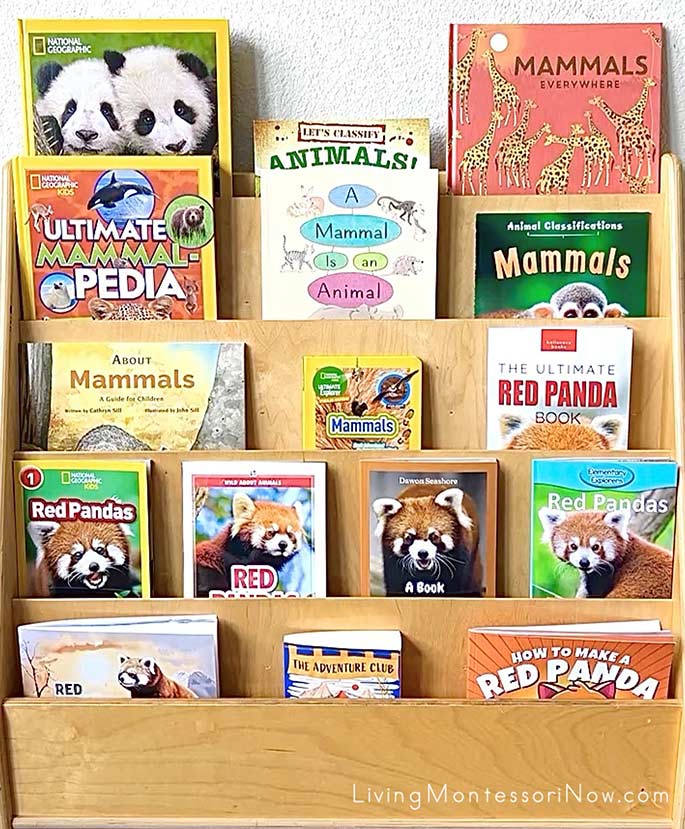 Favorite Books for a Red Panda Theme
