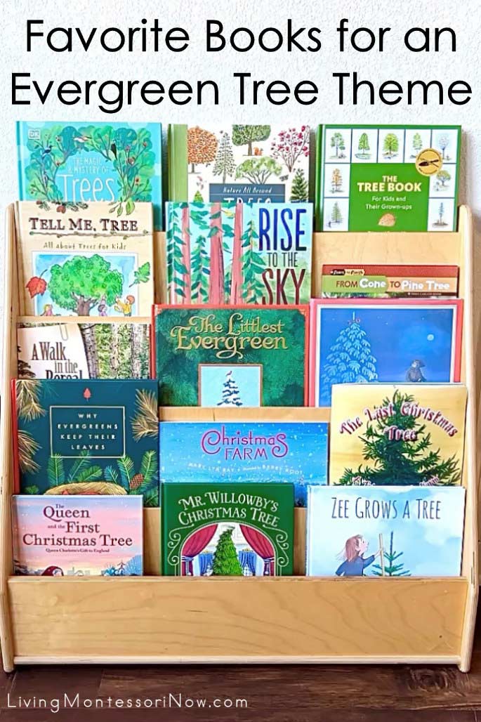 Favorite Books for an Evergreen Tree Theme