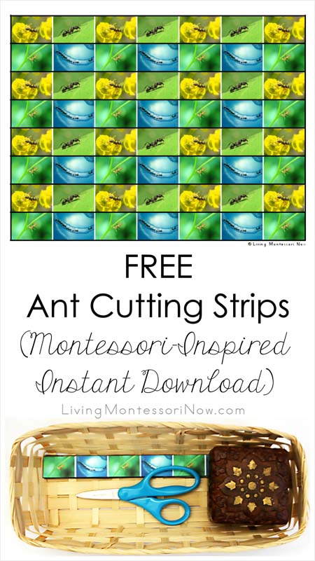 Free Ant Cutting Strips (Montessori-Inspired Instant Download)