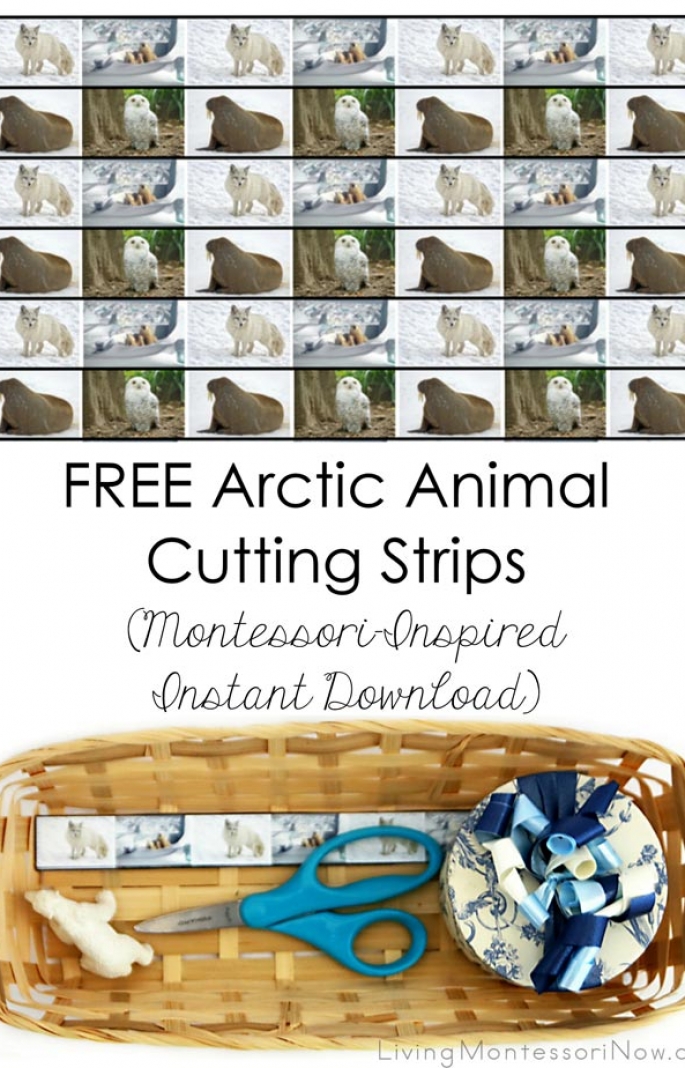 Free Arctic Animal Cutting Strips (Montessori-Inspired Instant Download)