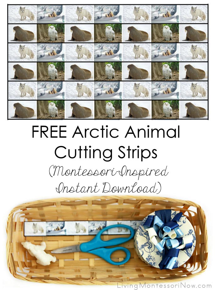 Free Arctic Animal Cutting Strips (Montessori-Inspired Instant Download)