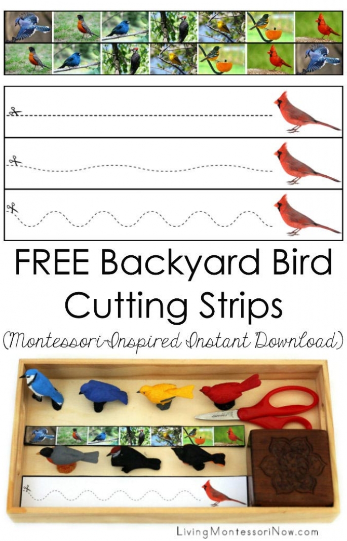 FREE Backyard Bird Cutting Strips (Montessori-Inspired Instant Download)