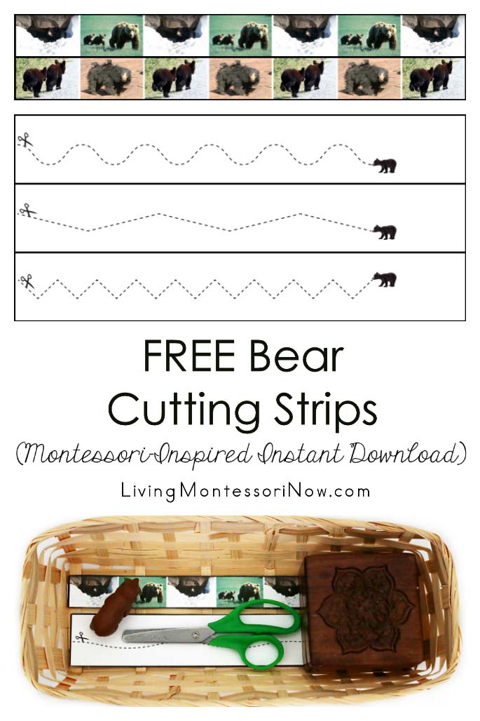 Free Bear Cutting Strips (Montessori-Inspired Instant Download)