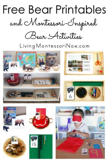 Free Bear Printables and Montessori-Inspired Bear Activities