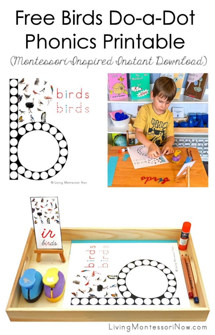 FREE Birds Do-a-Dot Phonics Printable (Montessori-Inspired Instant Download)