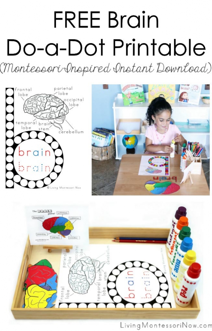 LMN - FREE Brain Do-a-Dot Printable (Montessori-Inspired Instant Download)