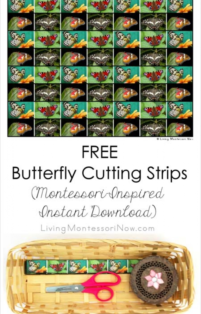 Free Butterfly Cutting Strips (Montessori-Inspired Instant Download)