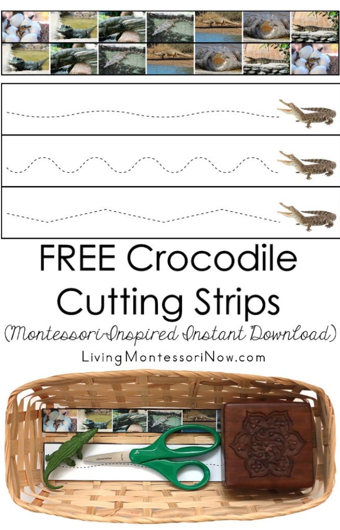 FREE Crocodile Cutting Strips (Montessori-Inspired Instant Download)