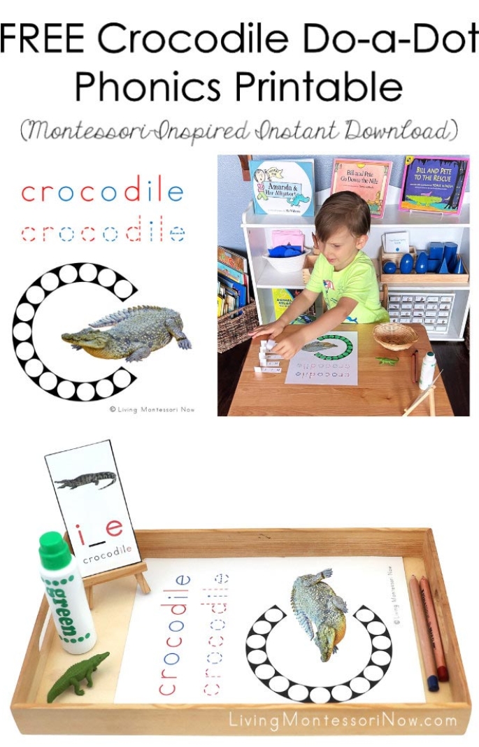 FREE Crocodile Do-a-Dot Phonics Printable (Montessori-Inspired Instant Download)