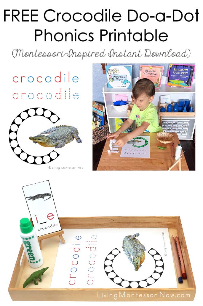 FREE Crocodile Do-a-Dot Phonics Printable (Montessori-Inspired Instant Download)