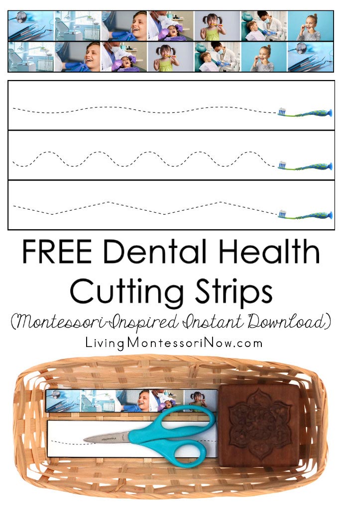 FREE Dental Health Cutting Strips (Montessori-Inspired Instant Download)