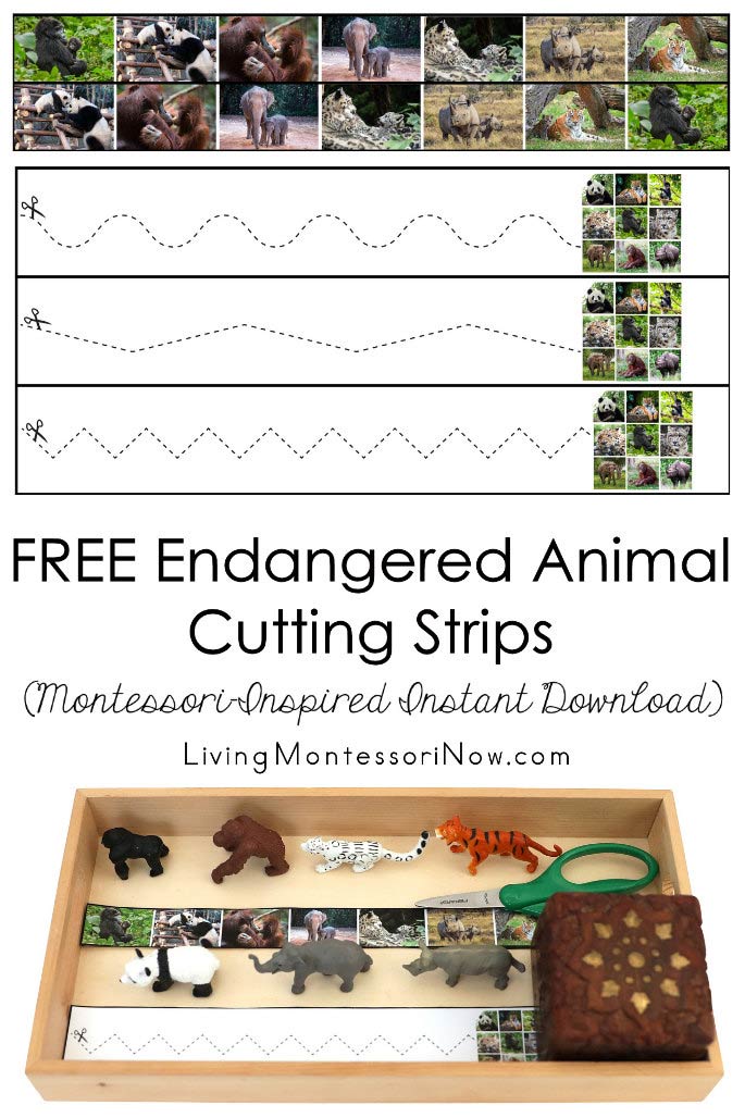 FREE Endangered Animal Cutting Strips (Montessori-Inspired Instant Download)