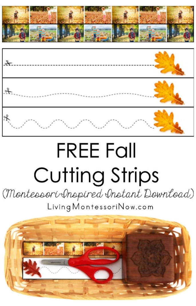 FREE Fall Cutting Strips (Montessori-Inspired Instant Download)