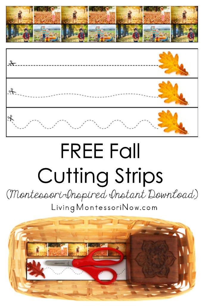 FREE Fall Cutting Strips (Montessori-Inspired Instant Download)