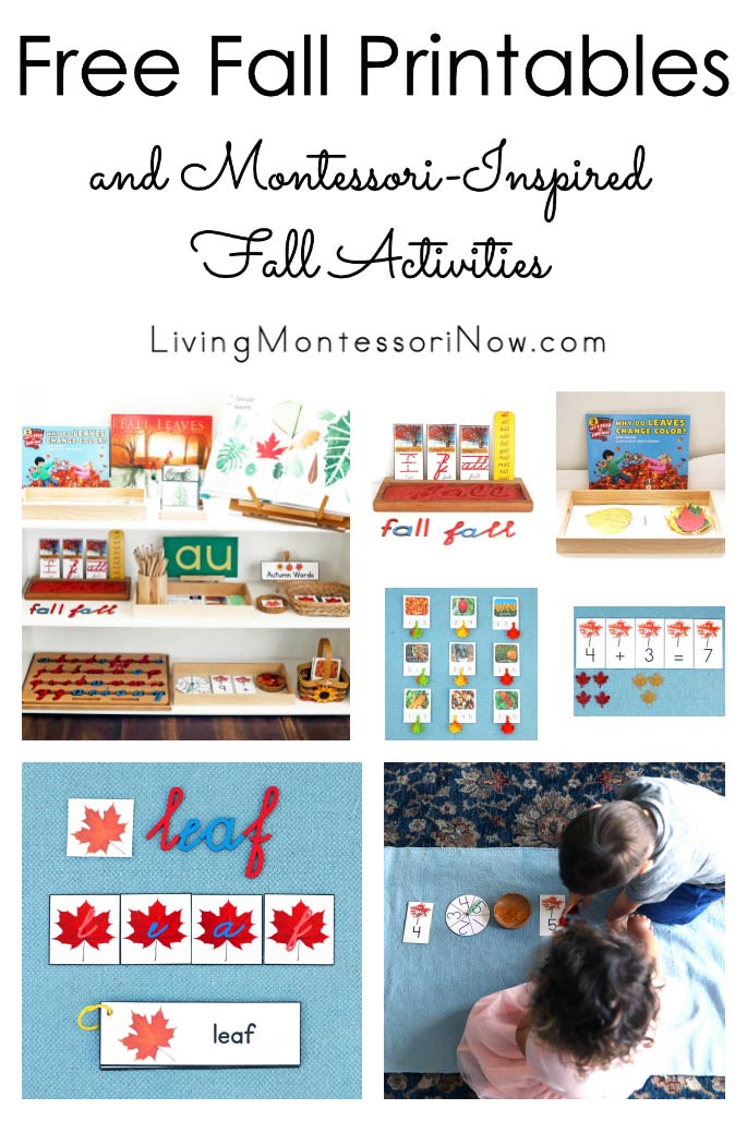 Free Fall Printables and Montessori-Inspired Fall Activities