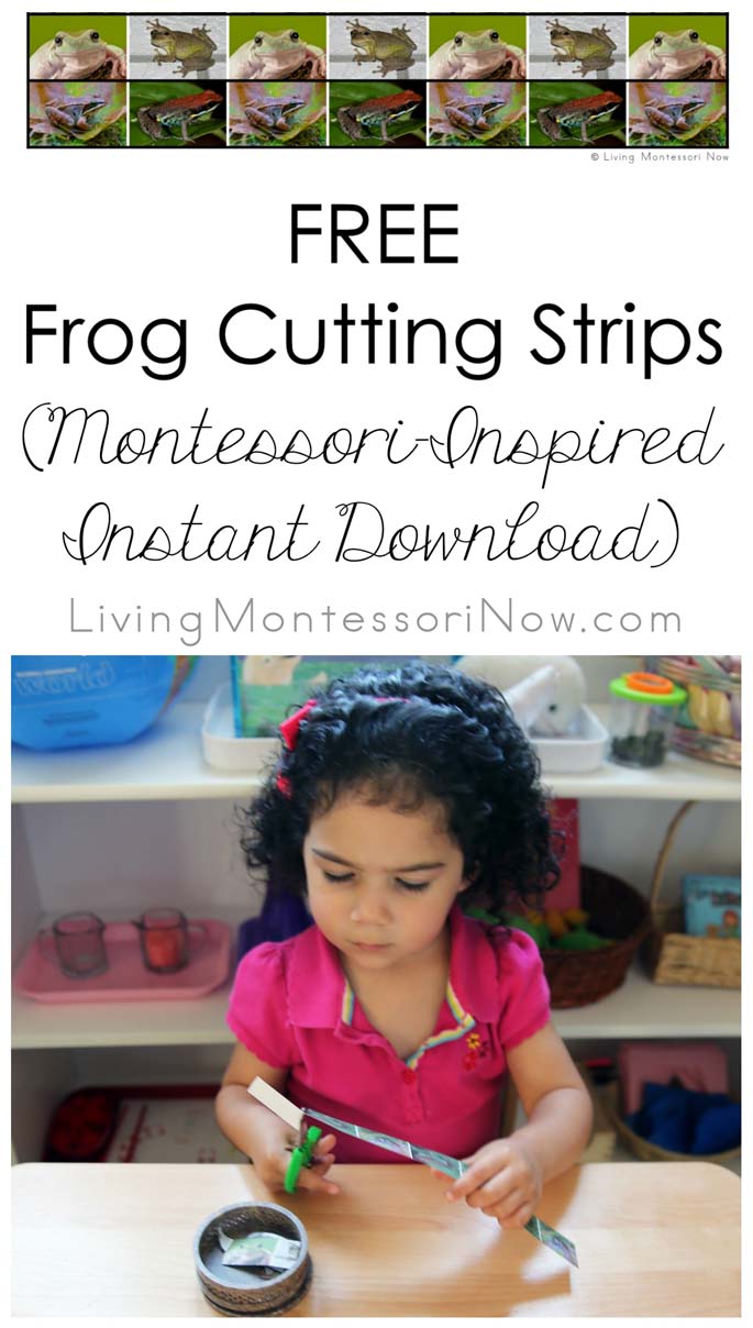Free Frog Cutting Strips (Montessori-Inspired Instant Download)