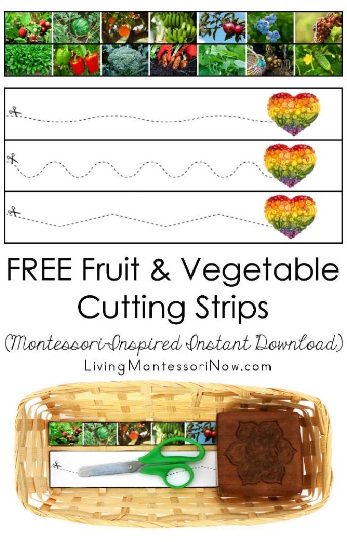 FREE Fruit and Vegetable Cutting Strips (Montessori-Inspired Instant Download)