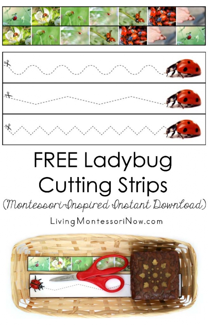 Free Ladybug Cutting Strips (Montessori-Inspired Instant Download)