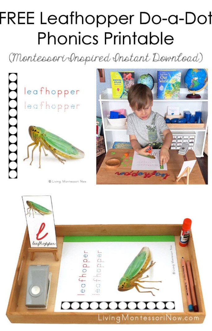 FREE Leafhopper Do-a-Dot Phonics Printable (Montessori-Inspired Instant Download)