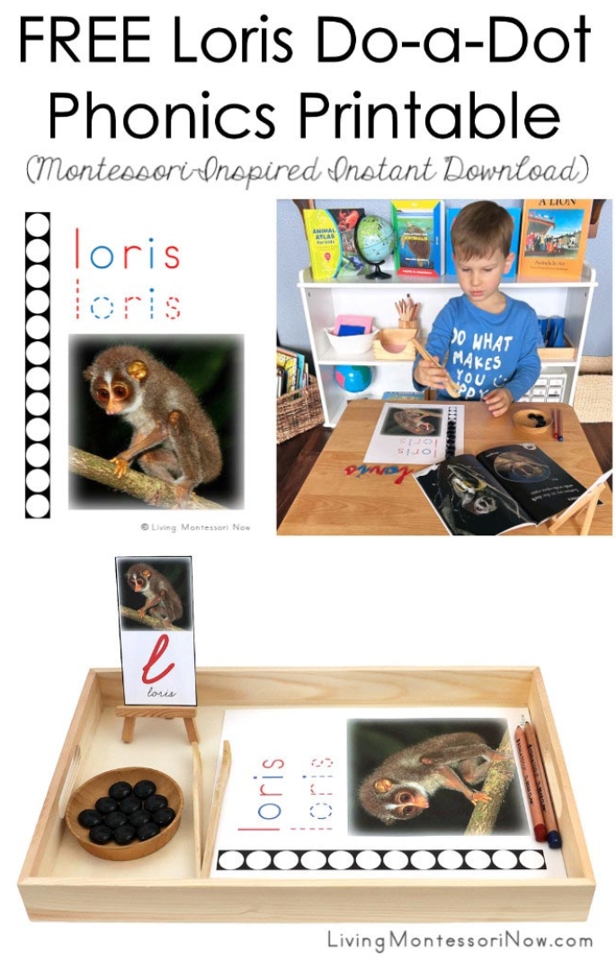FREE Loris Do-a-Dot Phonics Printable (Montessori-Inspired Instant Download)
