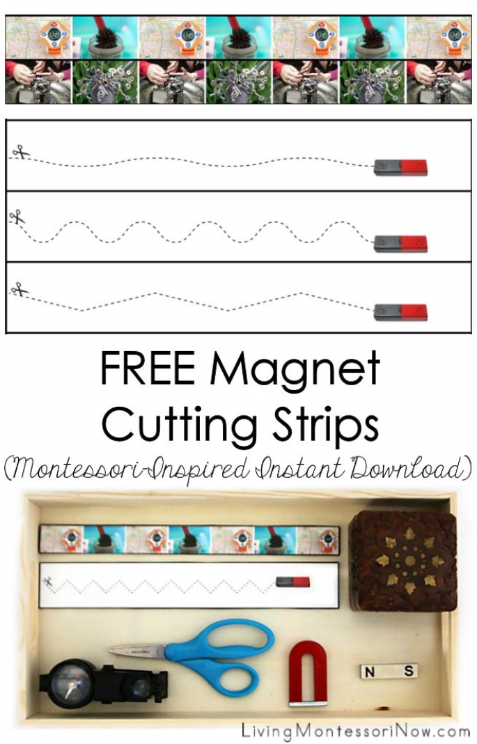FREE Magnet Cutting Strips (Montessori-Inspired Instant Download)