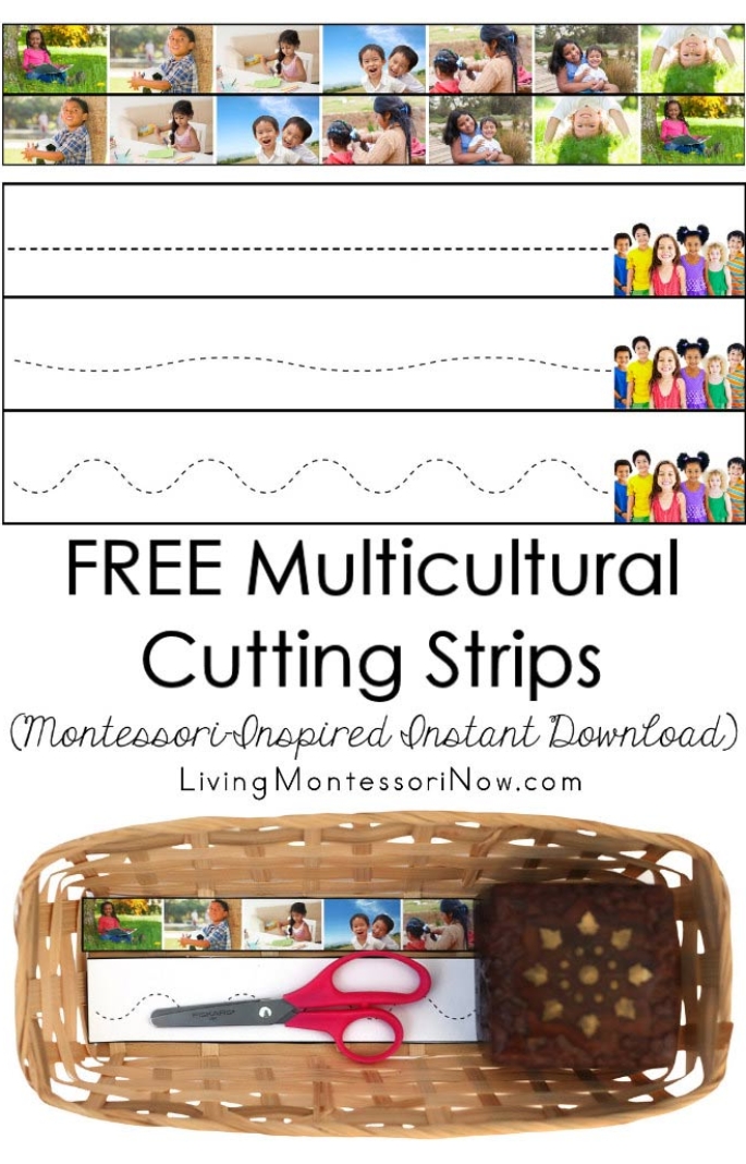 FREE Multicultural Cutting Strips (Montessori-Inspired Instant Download)