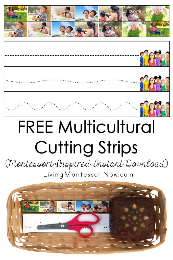 FREE Multicultural Cutting Strips (Montessori-Inspired Instant Download)