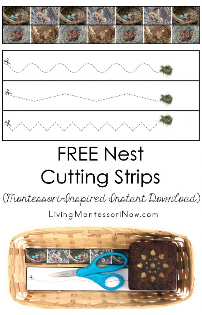 Free Nest Cutting Strips (Montessori-Inspired Instant Download)