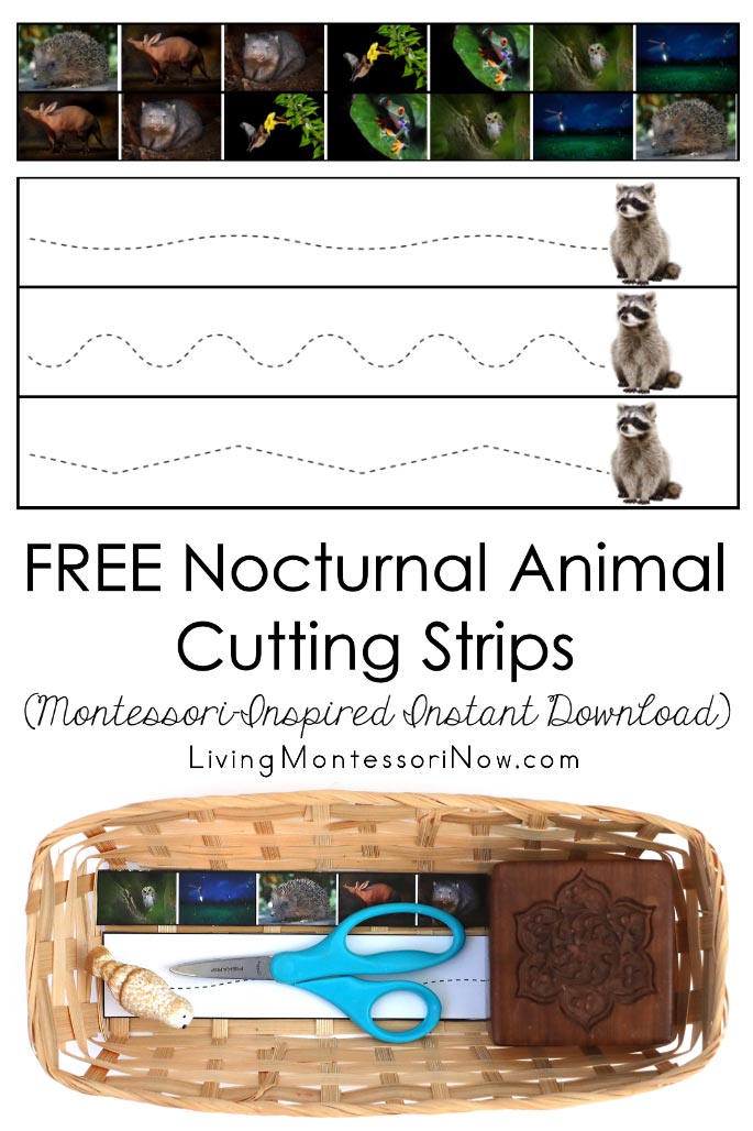 Free Nocturnal Animal Cutting Strips (Montessori-Inspired Instant Download)