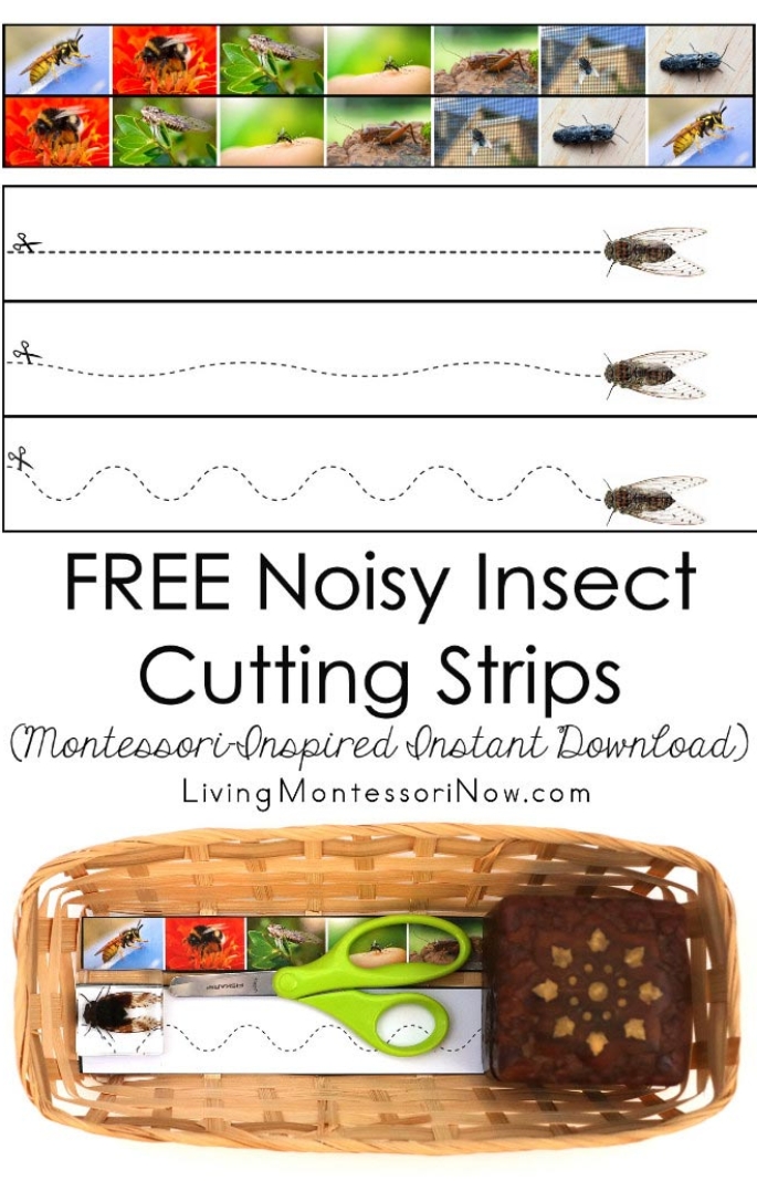FREE Noisy Insect Cutting Strips (Montessori-Inspired Instant Download)