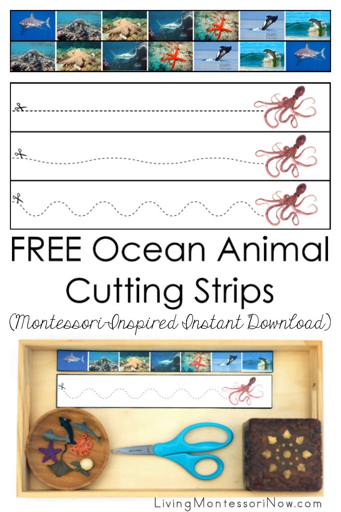 FREE Ocean Animal Cutting Strips (Montessori-Inspired Instant Download)
