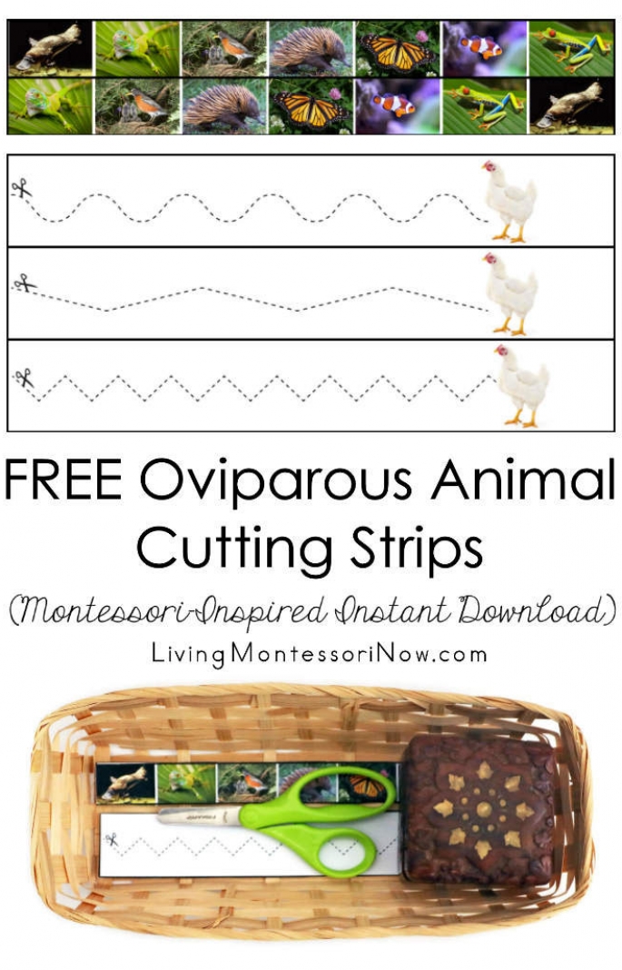 FREE Oviparous Animal Cutting Strips (Montessori-Inspired Instant Download)