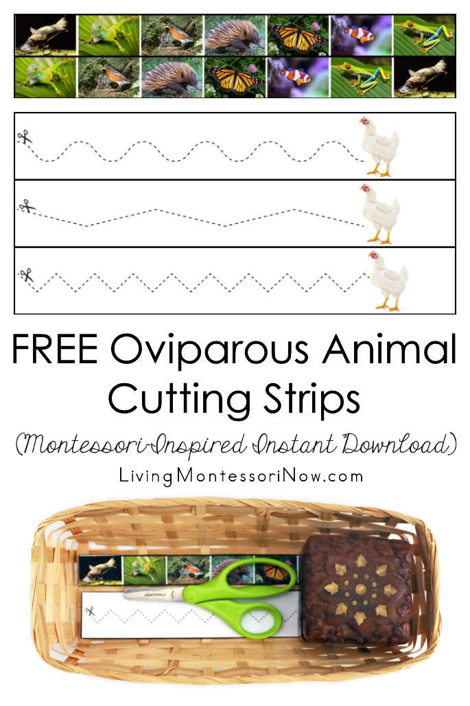 FREE Oviparous Animal Cutting Strips (Montessori-Inspired Instant Download)