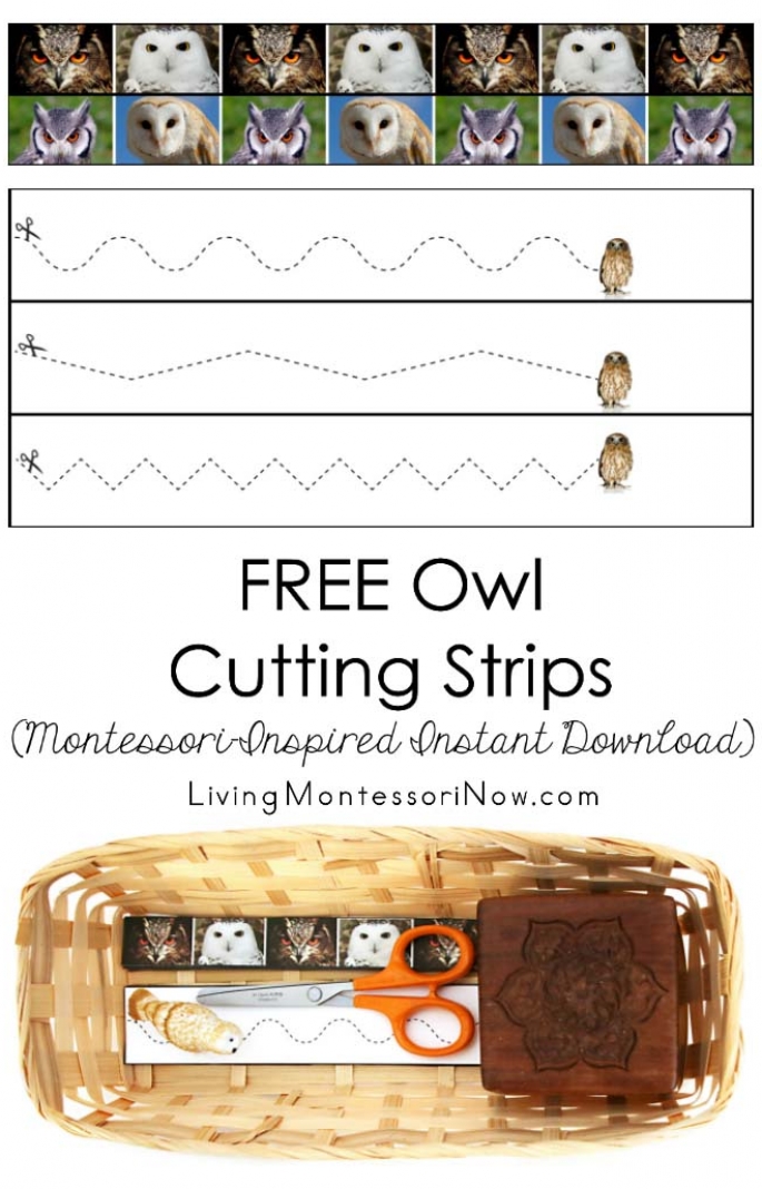 Free Owl Cutting Strips (Montessori-Inspired Instant Download)