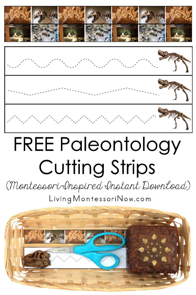 FREE Paleontology Cutting Strips (Montessori-Inspired Instant Download)