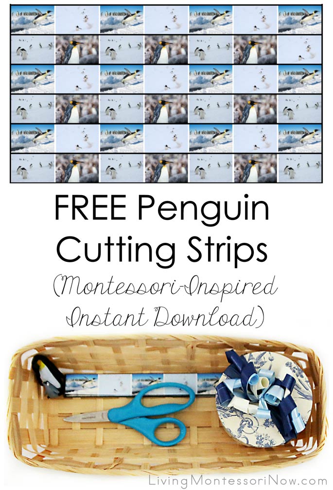 Free Penguin Cutting Strips (Montessori-Inspired Instant Download)