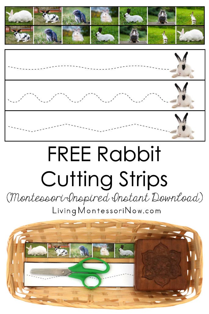 FREE Rabbit Cutting Strips (Montessori-Inspired Instant Download)
