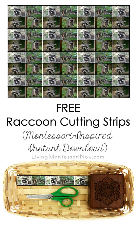 FREE Raccoon Cutting Strips (Montessori-Inspired Instant Download)